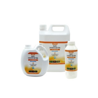 ISTA 活力光合硝化菌 水質穩定劑，除氯氨水質穩定劑，伊士達【貓的水族】, 1個, 120ml,除氯氨水質穩定劑(新配方)