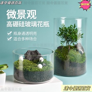 桃園熱銷 生態瓶 造景瓶 玻璃瓶爆款玻璃花瓶桌麵微景觀生態瓶水培罐食品包裝展示玻璃罐, 透明