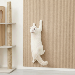 고양이 벽 스크래쳐 부착식 2M, 1개, 크림베이지