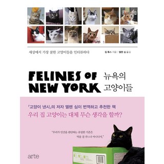 紐約貓：採訪世界上最酷的貓, 吉姆 圖斯, 雅蒂(arte)