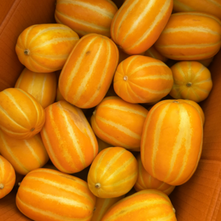 [초특가] 고당도 성주 꿀 참외, 1박스, 못난이 참외 10kg (랜덤과)