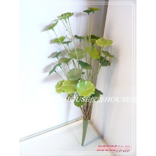 *︵House傢飾︵*仿真水生植物 銅錢草 圓幣草 香菇草 錢幣草 限量款/新發售, 1個