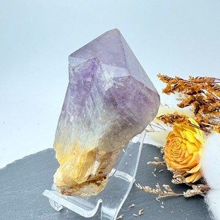 紫晶骨幹 開啟智慧直覺 凝聚人氣財氣 帶彩虹光 原生感 山形千層 共生, 1個