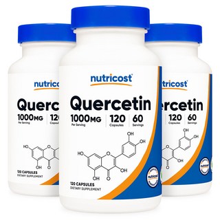 뉴트리코스트 퀘르세틴 1000mg, 3개, 120정
