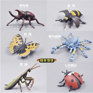 SPG 隨草憶境 仿真 昆蟲模型 野生動物 兒童 藍蜘蛛, 1個, 藍蜘蛛（圖1藍款,長約10cm）