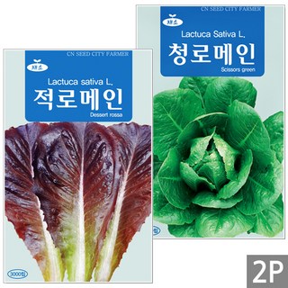 세인화분 적로메인 청로메인 씨앗 2종 소포장 - 로메인 씨 쌈채소, 1세트