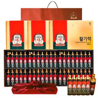 정관장 6년근 홍삼정 활기력 48세트(홍삼농축액 비타민함량) 960ml+쇼핑백 골프 여행 부모님 명절 선물세트(보자기포함) 1개, 960ml, 1세트
