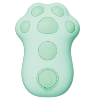 멍멍집사 스팀 고양이 브러쉬 펫브러쉬 빗 UV 해충억제, 그린, 1개