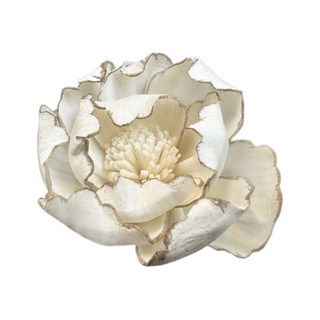 【台灣現貨速發】牡丹索拉花 一朵 牡丹花 通草花 擴香花, 約6公分｜小香風, 1個