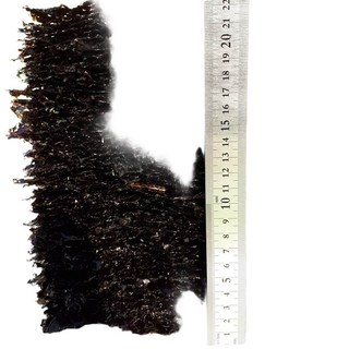 지주식 햇 곱창김 100장 11월 생산 생곱창김 지퍼백포장 일반 명품 프리미엄 김밥김, 일반김-파래김1톳 100장(화입), 1개