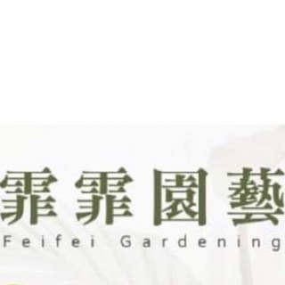 霏霏園藝 隨機小植物 滿1000元贈送一顆小植物 迷你盆栽 辦公室盆栽 療癒小物, 隨機…..,1