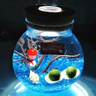 包郵marimo海藻球水培植物海藻球微景觀生態瓶苔蘚創意盆栽玻璃瓶pd, 雪人帶燈（2歲2顆）, 1個