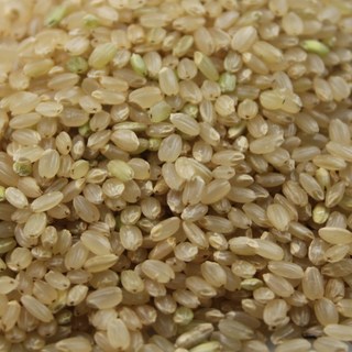 2025년 현미 당일도정 단일품종 자연농법 쌀아지매, 1개, 20kg