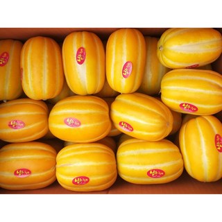 2026년 성주 참외, 1박스, 10kg 중과