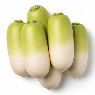 국내산 제주 월동무 [세척], 1박스, 3kg(2~3개)