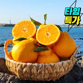 [신년특가] 맛있는 제주 한라봉 농가직송, 1박스, 고당도 한라봉 5kg (S~M) - 마감임박