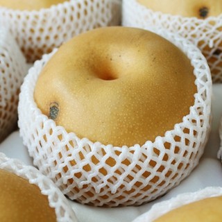 25년 수확 햇 알뜰 나주배 가정용, 5kg(11~15과), 1개