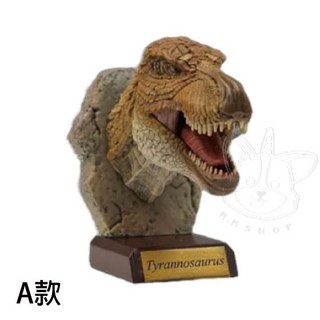 【M.M小舖】『現貨』 Qualia 轉蛋 扭蛋 擬真恐龍頭像收藏 擬真 恐龍 頭像 暴龍 三角龍 全4款, 1個, A款/霸王龍款1D452