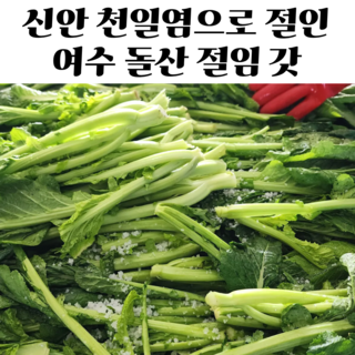 여수 돌산갓 신안 천일염 절임갓 돌산갓절임 절임갓, 1박스, 10kg