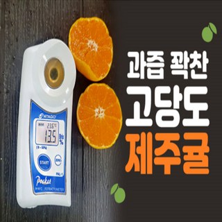 하우스 감귤 제주 산지직송 고당도 프리미엄 당도보장, 1개, 제주 하우스감귤 2S 소과_2kg (가정용)