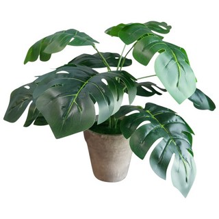 仿真龜背芋盆栽 室內裝飾 假植物 龜背葉 人造盆栽 中型尺寸 免澆水仿真植物 提升居家品味, 1個, 仿真盆栽 龜背芋