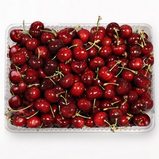 프리미엄 고당도 생체리 미국산 캘리포니아 칠레산 워싱턴 빙체리, 1개, 체리 500g 특대