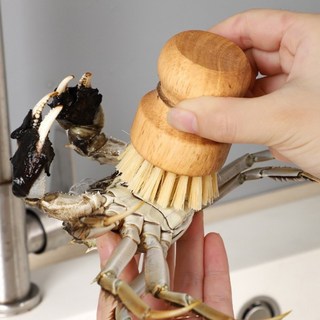 우드손잡이세척브러쉬 나무핸들주방용기도마세정설겆이 식물성천연브러시솔 ( 1p ), 1개, 사이잘삼