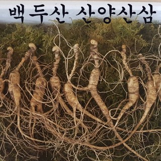 백두산 장뇌삼 산양산삼 13년근 18년근 (10뿌리 한세트) 산양삼 산삼 선물 13년산 18년산 남보마트, 5뿌리, 1개
