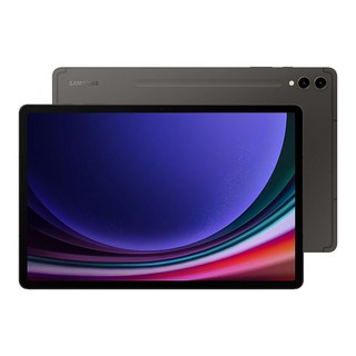 삼성 갤럭시탭 S9 플러스 256GB (Graphite), Tab S9+ Plus 256GB
