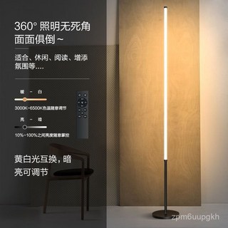 纖細LED落地燈，160公分，18W暖光，按鈕開關，簡約現代風落地檯燈, 160CM-T款白色（帶遙控）18W, 1個