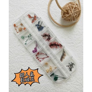 美甲乾燥花 自然乾燥花 立體自然乾花 雪珠花 美甲材料, 1個, 超人氣