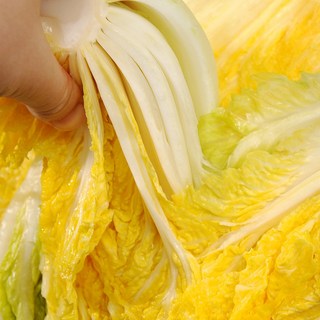 싱싱햇 국산 절임배추 절인 김장 배추, 10kg(3-5포기), 10kg, 1박스, 주문일 +6일후 도착(화-토)