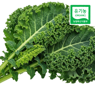 유기농 컬리 곱슬 케일 샐러드용 즙용 주스용 당일수확 산지직송, 2kg, 1박스