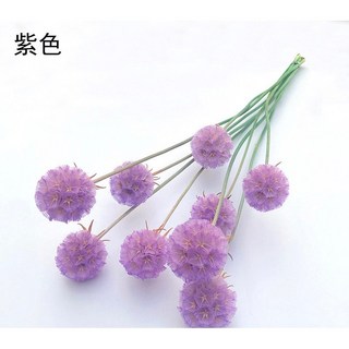 風車果 松蟲果 乾燥花 永生花 DIY花材 拍照道具 花束 居家裝飾, 紫色(一支一球)