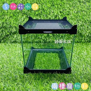 台灣製造【多功能水族寵物缸 /黑色】飼養箱 寵物箱 兩棲爬蟲箱 水草箱 寵物缸 變色龍 守宮 蜘蛛 蟑螂 鼠 蛇, 1個