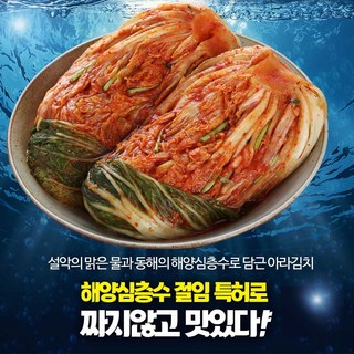 아라포기김치 저염 강원도 고랭지 3kg, 1개