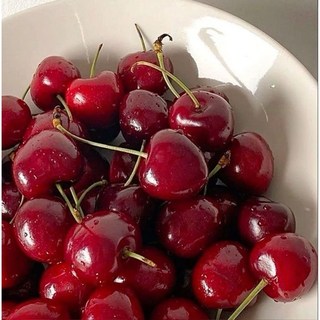 오늘특가! 체리 크기부터 다르다 신선직송 프리미엄 고당도 생 체리, 1개, 체리 대과(10R) 500g