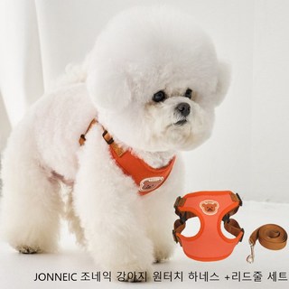 JONNEIC 조네익 강아지 원터치 하네스 고양이 애견 아웃도어 끈+리드줄 세트, 오렌지