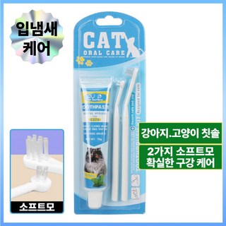 하이코이 강아지 고양이 치약 칫솔 세트 소프트모 2종 애견 덴탈케어 75g, 1세트