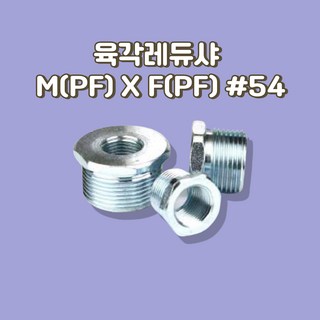 육각레듀샤 ADAPTER EAG M(PF)XF(PF) 54, 54/36, 1개