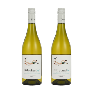 무알콜와인 논알콜 무알콜 샴페인 디스프루딴도 화이트, 2개, 750ml