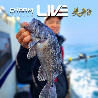 JS컴퍼니 참 라이브 미선 220H 침선낚시대 침선 우럭 전용로드, 240XH