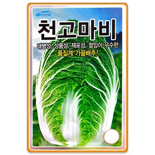 [팜앤리빙] 천고마비 배추씨앗 1000립 김장배추 씨앗 종자, 1개