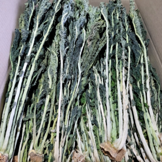 청정영주 국산 햇무청 건시래기 건나물 1kg, 1개