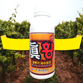 [시골생활 비료] 진황 500ml / 2L 황소독 과수 월동 꽃눈 석회유황합제 대용 비료, 1개