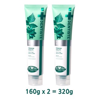 DENTISTE 덴티스테 뉴 플러스화이트 치약 튜브형 개운한 민트향, 320g, 1세트