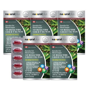 내츄럴플러스 차태현 바나바 / 식후 혈당상승 억제, 60정, 5개