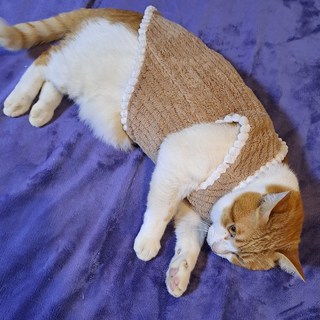 고양이옷 강아지옷 누빔 기모 극세사 티셔츠 조끼 겨울 실내복 외출복 산책옷 수면조끼, 1개, 기모조끼 브라운