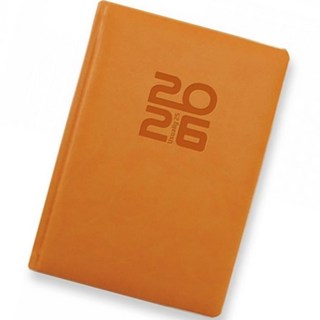 양지사 2026년 다이어리 유즈어리25A 골든라드 150x213mm - 개 (1개입)