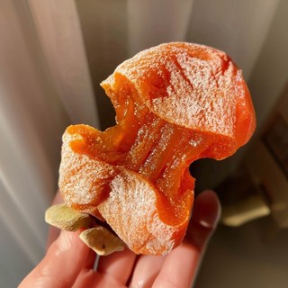 [재구매율1위] 말랑쫀득 당도끝판왕 반건시 상주곶감, 1박스, 500g